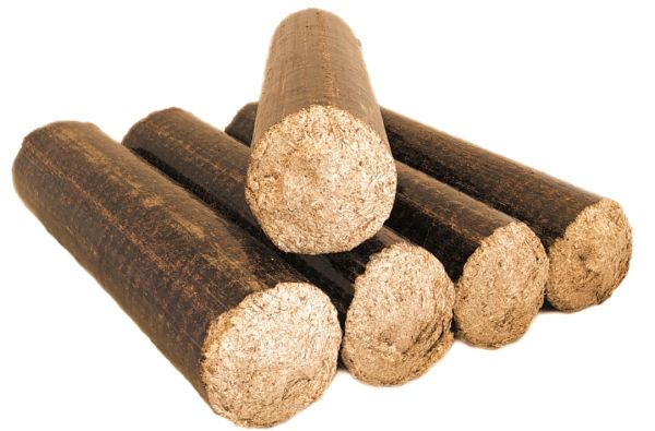 REGIOBriketts Buche +