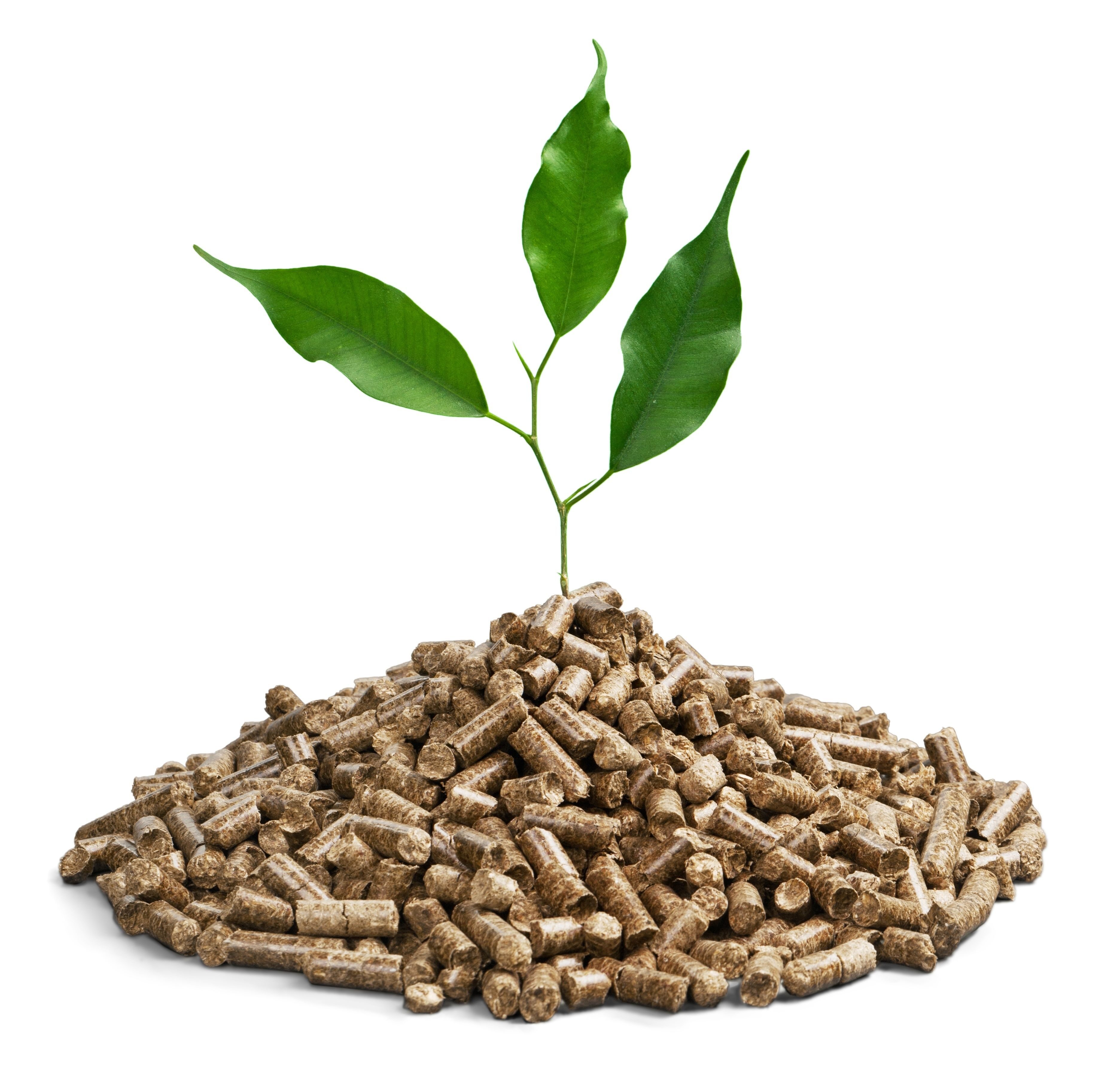 Pellets_Startseite_